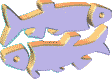 Pisces Fish