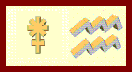 Aquarius Juno Sign