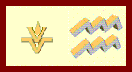 Aquarius Vesta Sign