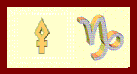 Capricorn Pallas Sign